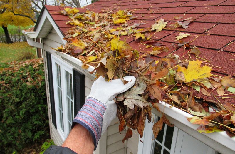 Clean Residential Gutters