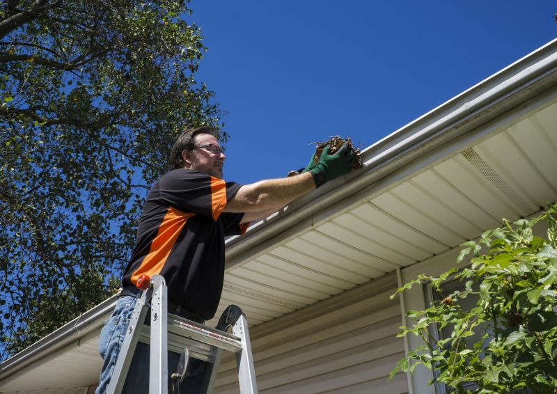 Ladder Safety in Gutter Cleaning