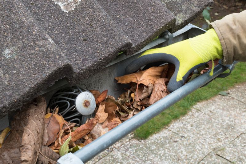 Professional Gutter Inspection